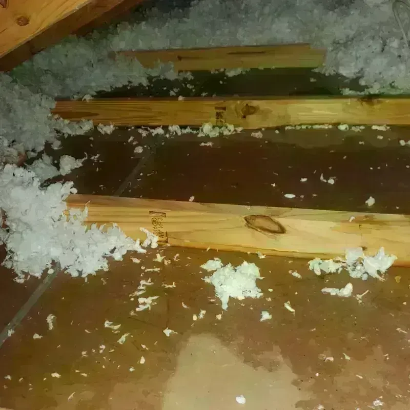 Attic Water Damage in Watervliet, MI