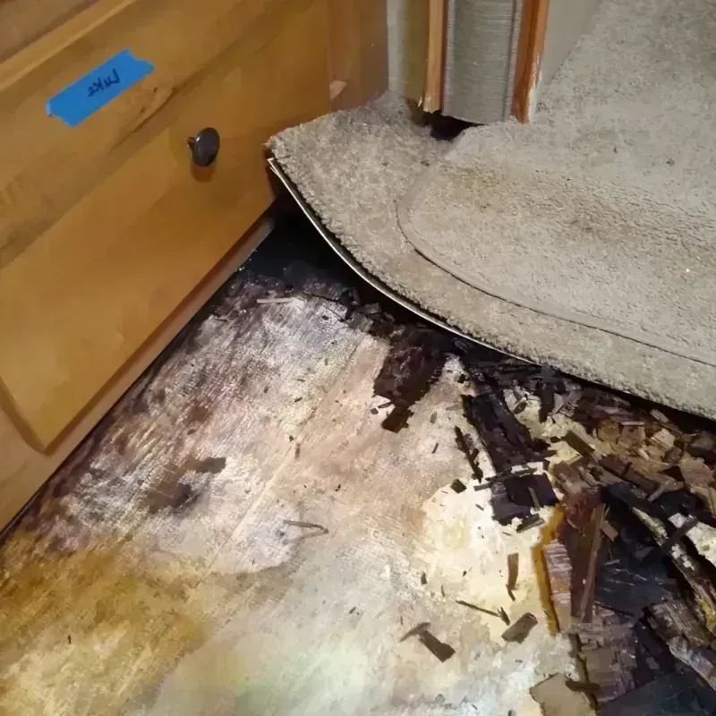 Best Wood Floor Water Damage Service in Watervliet, MI